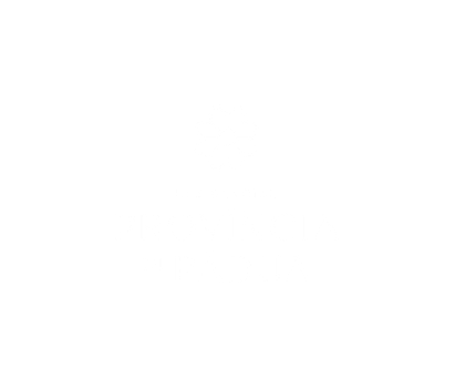 Província di Pádua
